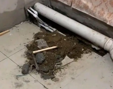 金秀卫生间漏水检测哪家好